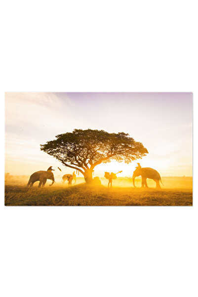 StoryGift Romania Tablou Canvas Elefanti In Dimineata Pustie A Asiei Agro-cul...