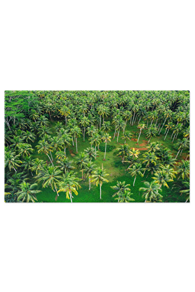 StoryGift Romania Tablou Canvas Relaxare In Paradisul Tropical, Deasupra, Cal...