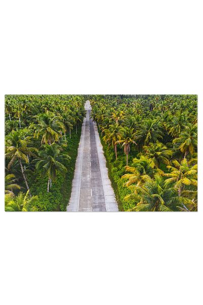 StoryGift Romania Tablou Canvas Farmecul Padurii Tropicale De Cocos, Natura, Exotic, Aer Liber, Peisaj, Plin 4796