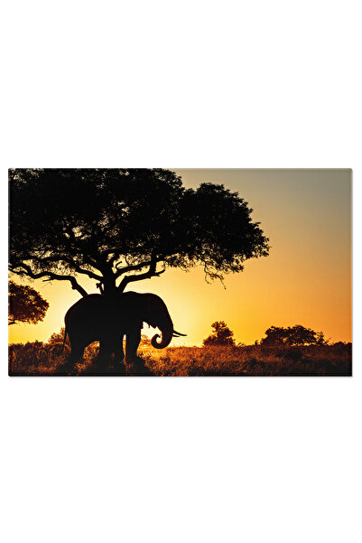 StoryGift Romania Tablou Canvas: Silueta De Elefant Si Copac, Apus De Soare, ...