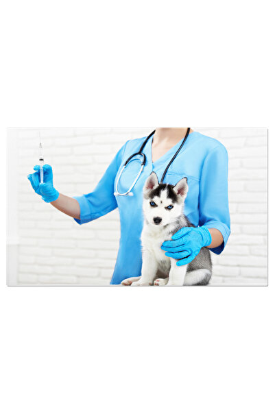 StoryGift Romania Tablou Canvas - Mascota Husky: Ochi Albastri Si Par Moale P...