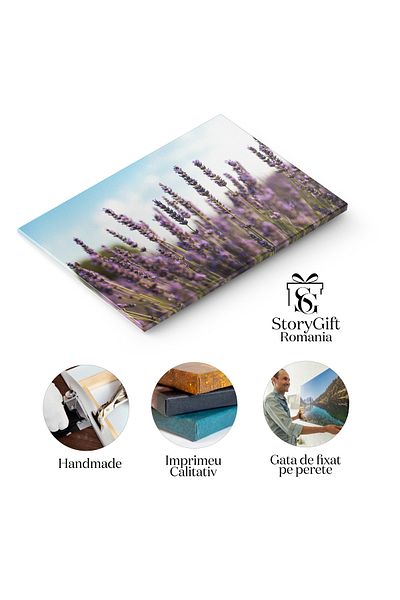 StoryGift Romania Tablou Canvas - Camp Plin Cu Flori Inflorite In Franta - Floral, Ferma, Europa, Natura