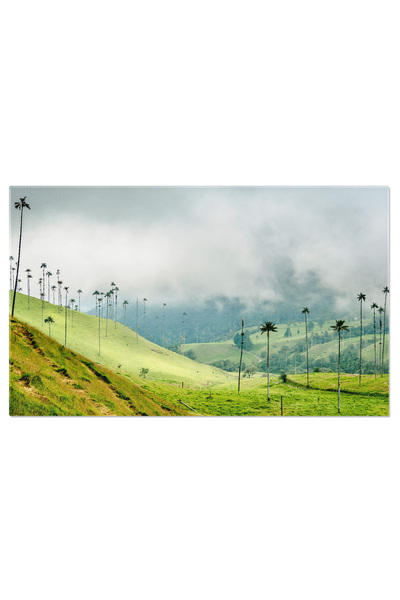 StoryGift Romania Tablou Canvas - Inima Columbiei: Peisaj Montan In Regiunea Cafelei - Quindio, Munte, America De