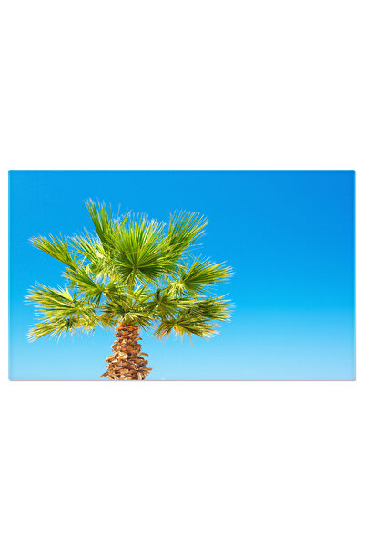StoryGift Romania Tablou Canvas Palmier In Fata Unui Cer Albastru, Natura, Pa...