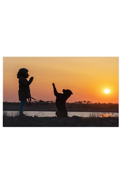 StoryGift Romania Canvas Painting Silhouette of a Girl Training a Rottweiler Dog, Love, Autumn, Nature, Learn