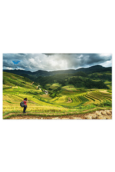 StoryGift Romania Tablou Canvas Fotografie La Campurile De Orez Terasate, Agricultura, Bali, Asia, Camp, Terase 4