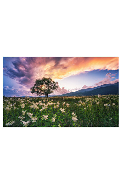 StoryGift Romania Tablou Canvas - Amurg Intr-un Peisaj Natural: Frumusete Si Liniste