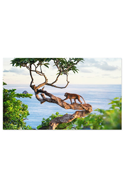 StoryGift Romania Tablou Canvas Maimuta Pe Copac Animal, Natura, Jungle, Exot...