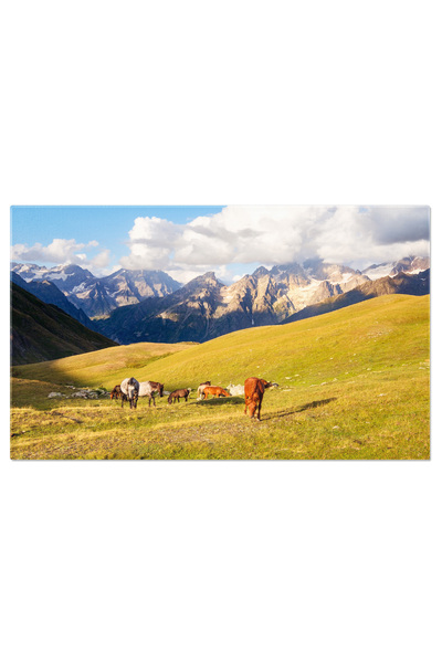 StoryGift Romania Tablou Canvas Peisaj Montan Cu Cai Salbatici In Svaneti, Ge...