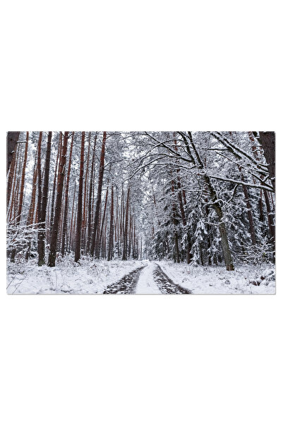 StoryGift Romania Tablou Canvas Drum Rural Inzapezit Peisaj Alb De Iarna, O C...