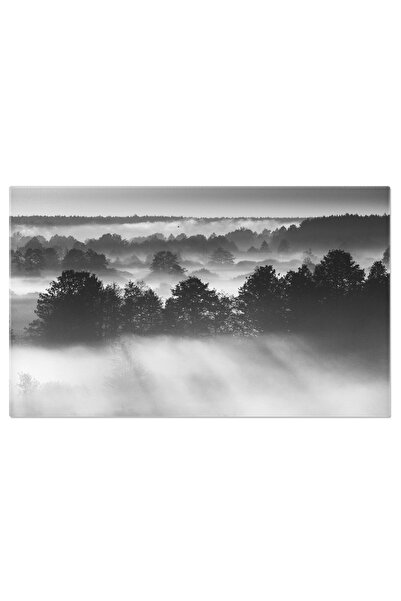 StoryGift Romania Tablou Canvas Ceata Diminetii Iluminata De Soare Acopera Peisajul Peisaj, Soare, Ceata, Magie,