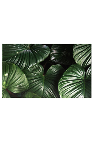 StoryGift Romania Tablou Canvas - Frumusete Naturala In Gradina Tropicala - T...