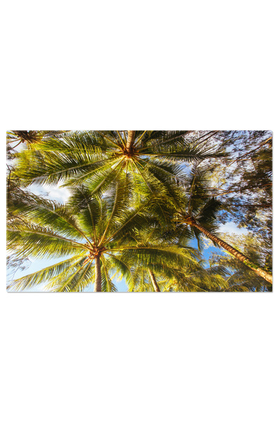 StoryGift Romania Tablou Canvas Plaja In Palm Cove, Queensland, Australia Pei...