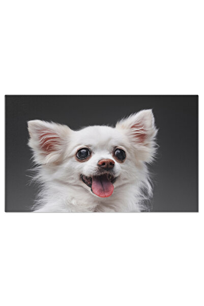 StoryGift Romania Tablou Canvas - Pui De Pomeranian Si Chihuahua: Zambet Si B...