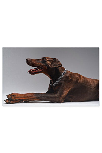 StoryGift Romania Tablou Canvas Doberman Alert - Caine De Paza Elegant Intr-un Portret Magnific