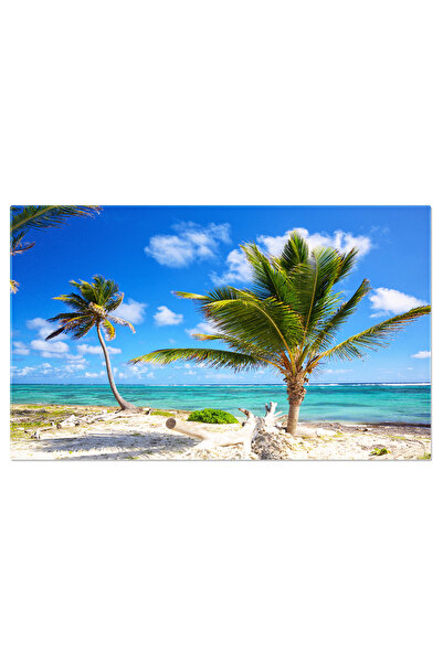 StoryGift Romania Tablou Canvas Linia Coastei In Caraibe Caraibe, Coasta, Pal...