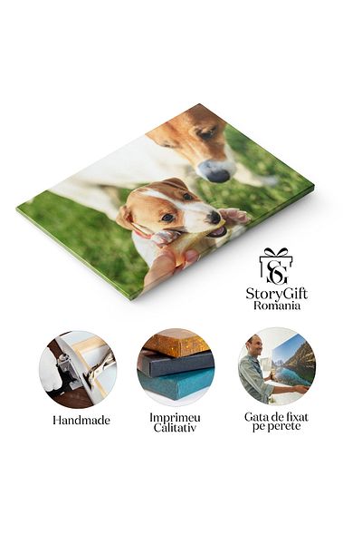 StoryGift Romania Tablou Canvas Caine Alb , Rasa Jack Russel Terrier, Caine, Primavara, Iarba, Alb, Rasa, Animal