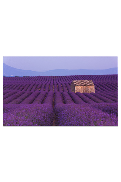 StoryGift Romania Tablou Canvas: Peisaj Provence - Casa In Culori