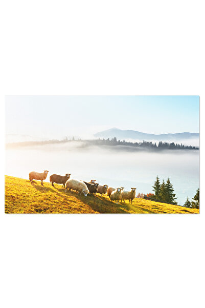 StoryGift Romania Tablou Canvas Turma De Elefanti In Sri Lanka, Elefant, Sri ...