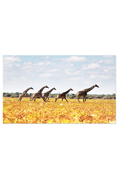 StoryGift Romania Tablou Canvas: Viata Salbatica Africana - Safari, Savana, N...