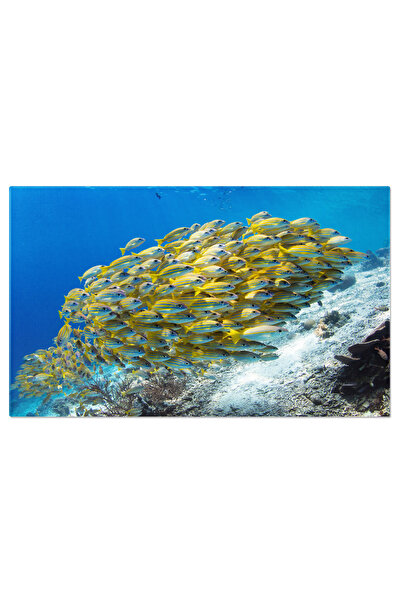 StoryGift Romania Tablou Canvas Scoala De Macrou Cu Margele Galbene, Peste, Scoala, Ocean, Natura, Vietati Marine