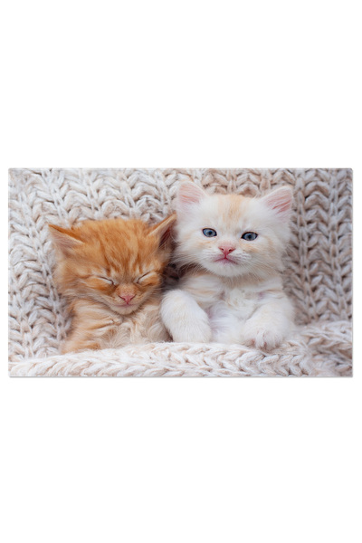 StoryGift Romania Tablou Canvas Cu Pisoi Gingas - Somn Dulce Si Blana Moale