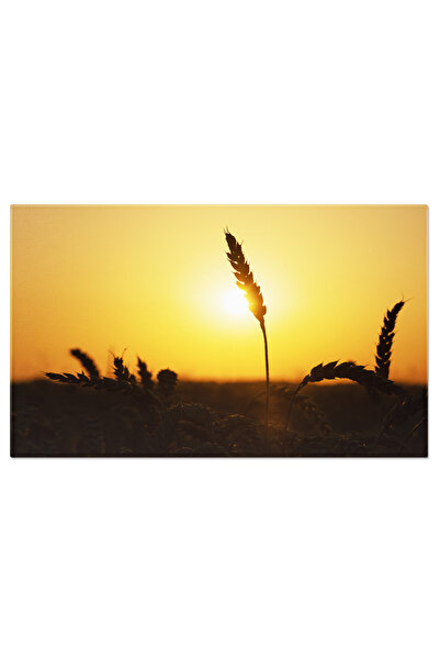 StoryGift Romania Tablou Canvas: Grau Coapt In Ucraina - Pregatire Pentru Paine