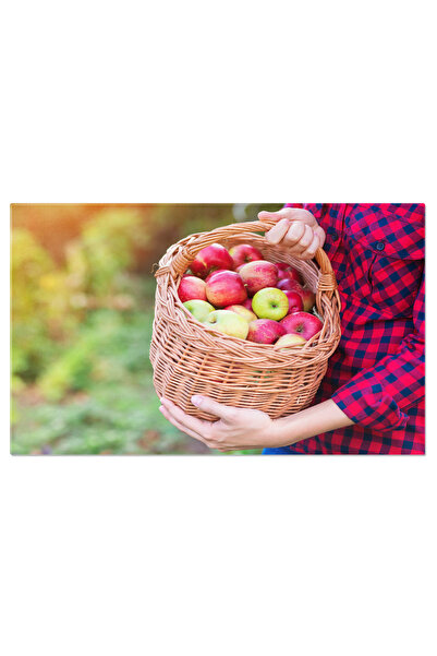 StoryGift Romania Tablou Canvas Culegerea Fructelor In Gradina - Munca In Agricultura