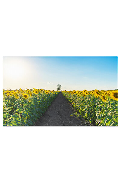 StoryGift Romania Tablou Canvas Camp De Floarea-soarelui Plin De Culori In Pa...