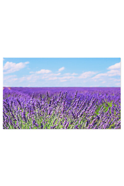 StoryGift Romania Lavender In The Valley Canvas Painting, Endless Rows, Provence, Flowers, Aromatherapy, Azure, Colors