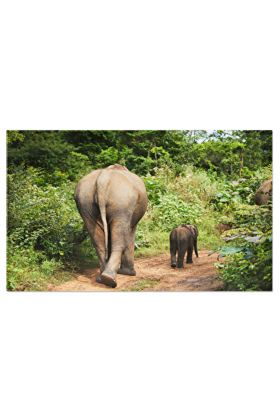 StoryGift Romania Tablou Canvas Turma De Camile Mergand Pe Drum De Nisip Impo...