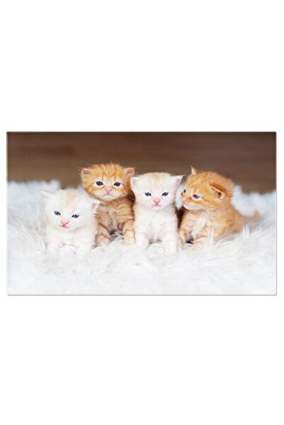 StoryGift Romania Tablou Canvas Cu Patru Pisicute Adorabile - Micute Fete Cur...