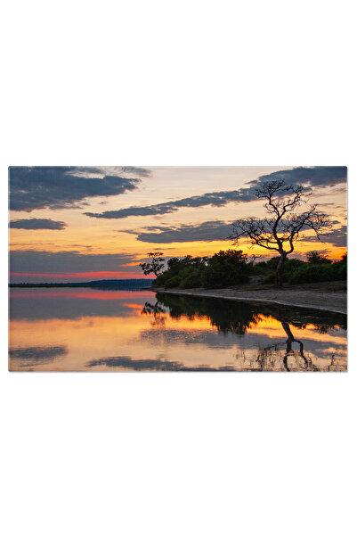 StoryGift Romania Tablou Canvas 120 x 80CM Liniste la Raul Chobe Apus, Rau Chobe, Parcul National Chobe, Peisaj STG