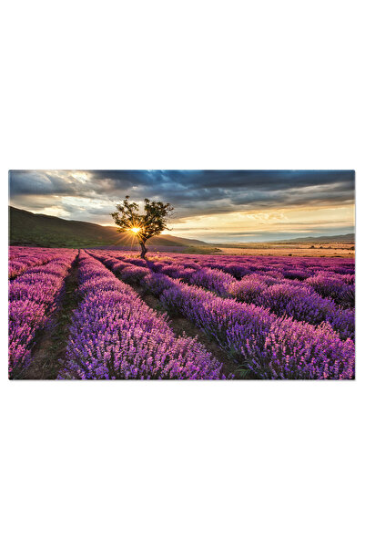 StoryGift Romania Tablou Canvas Lavanda La Rasarit Si Apus - Culori Vibrante