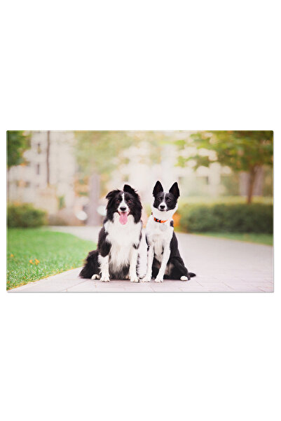 StoryGift Romania Tablou Canvas: Poveste Canina In Parc - Caini, Animale De C...