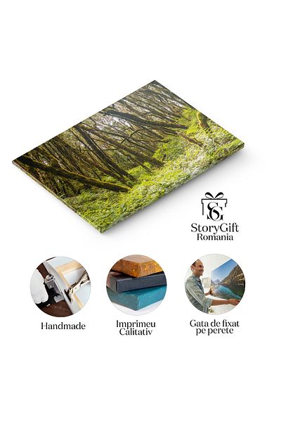 StoryGift Romania Canvas Painting Landscape With Ferns Next To Mossy Trees, La Gomera, Canary Islands, Spain, Nature