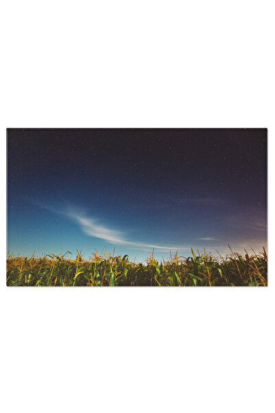 StoryGift Romania Tablou Canvas Cerul Instelat Deasupra Campului De Porumb, C...