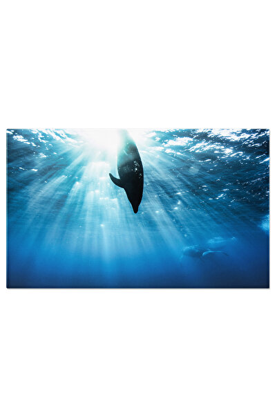 StoryGift Romania Tablou Canvas: Magie Subacvatica Cu Delfinii - Scufundari, Delfini, Lumea Acvatica, Diversitate