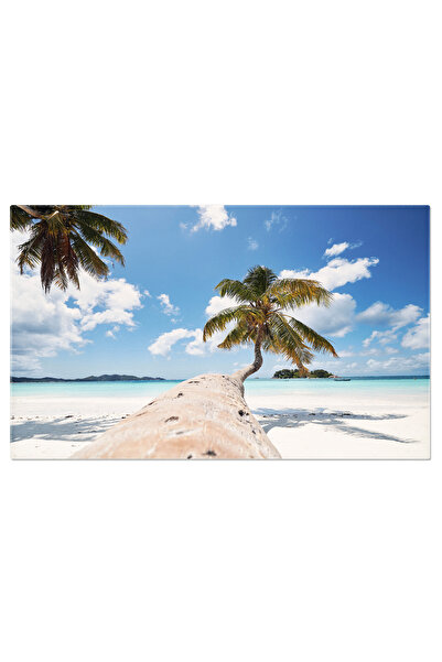 StoryGift Romania Tablou Canvas Palmier Pe Plaja Cu Nisip Alb Natura, Peisaj,...