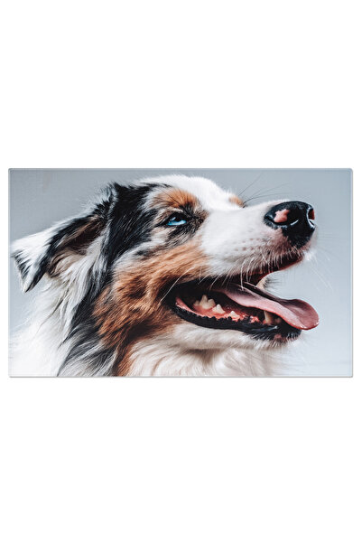 StoryGift Romania Tablou Canvas: Portret Australian Shepherd, Un Mix Colorat ...