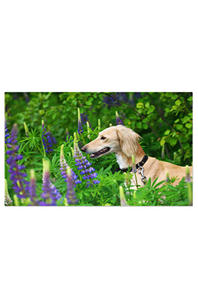 StoryGift Romania Tablou Canvas Caine Aurit In Stare De Alerta Caine, Borzoi,...