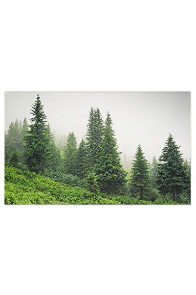 StoryGift Romania Tablou Canvas Compozitie A Naturii Natura, Peisaj, Ceata, M...