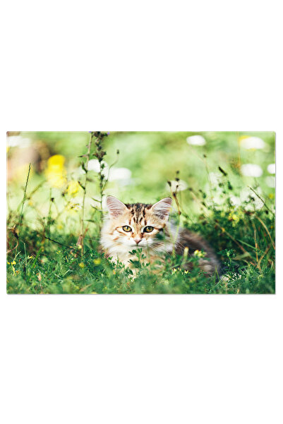 StoryGift Romania Tablou Canvas: Pisica In Natura