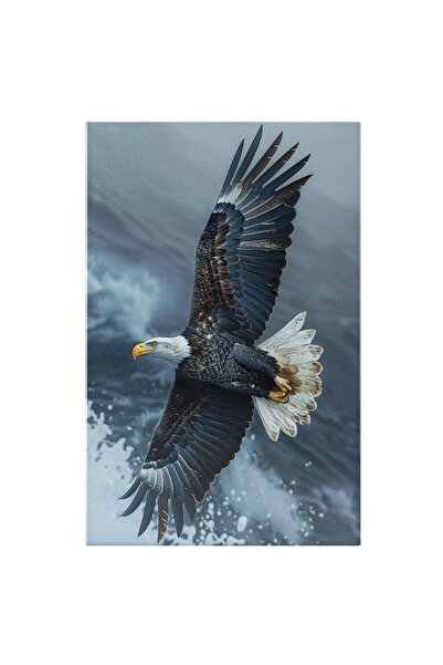 StoryGift Romania Tablou Canvas 70 X 50cm Vultur Fluturându-și Aripile Deasupra Spumei Mării- Vizând ,stg