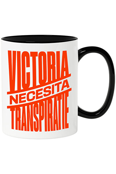 StoryGift Romania Cana cu Mesaj Inspirational Design In Limba Roamana iluzie ...