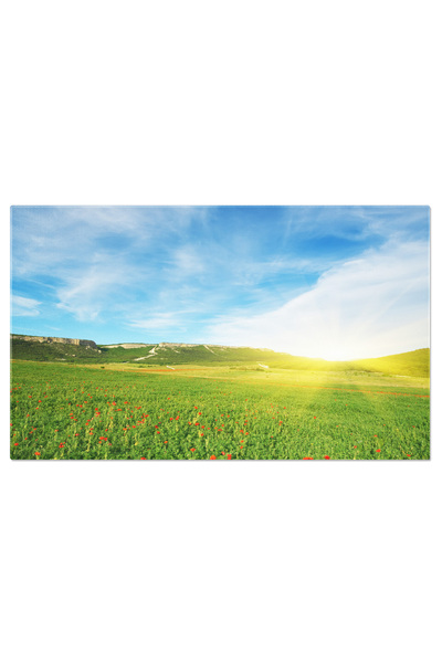 StoryGift Romania Tablou Canvas Flori De Primavara Intr-o Pajiste Verde: Pajiste, Natura, Primavara, Flori, Soare