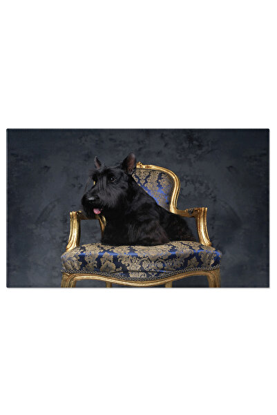 StoryGift Romania Tablou Canvas: Terrierul Scotian Traditional, Relaxandu-se ...
