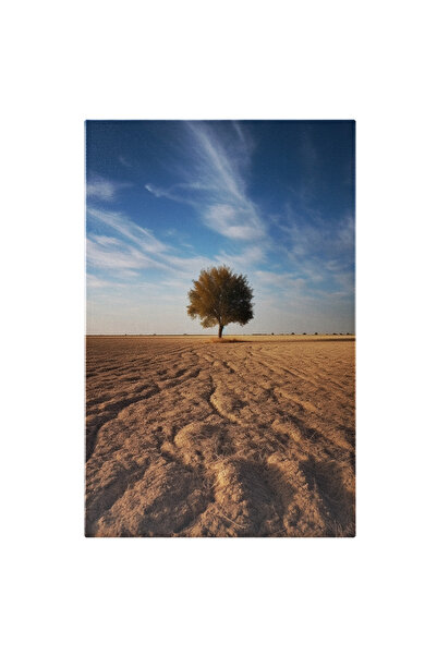 StoryGift Romania Tablou Canvas: Fotografie Cu Un Copac Pe Un Camp Gol - Seni...