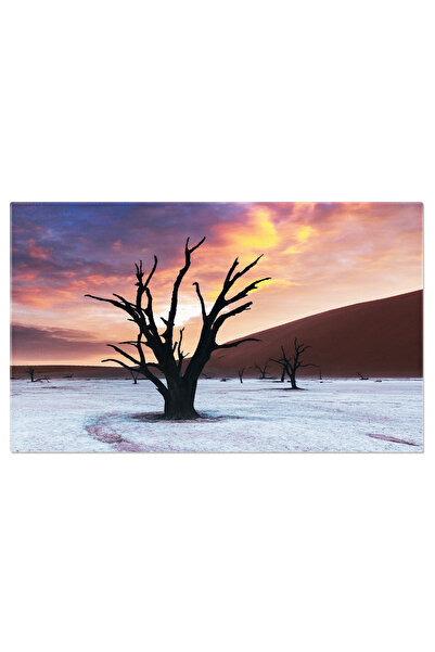 StoryGift Romania Tablou Canvas: Copaci Scheletici In Desertul Namib - Travel, Arid, Scenery