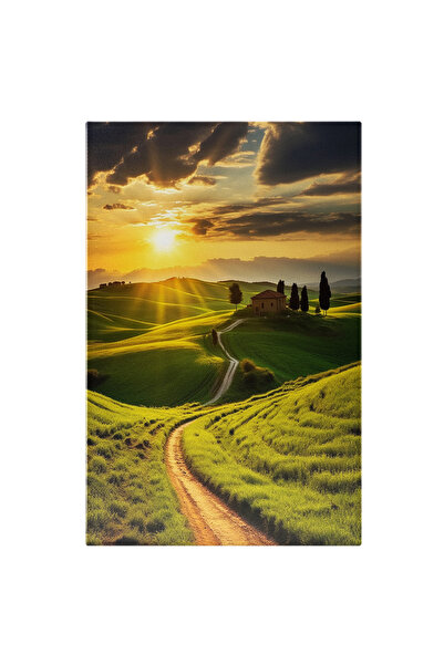 StoryGift Romania Tablou Canvas: Casa In Mijlocul Pustietatii - Soare Verdeat...